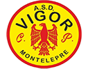 VIGOR C.P.